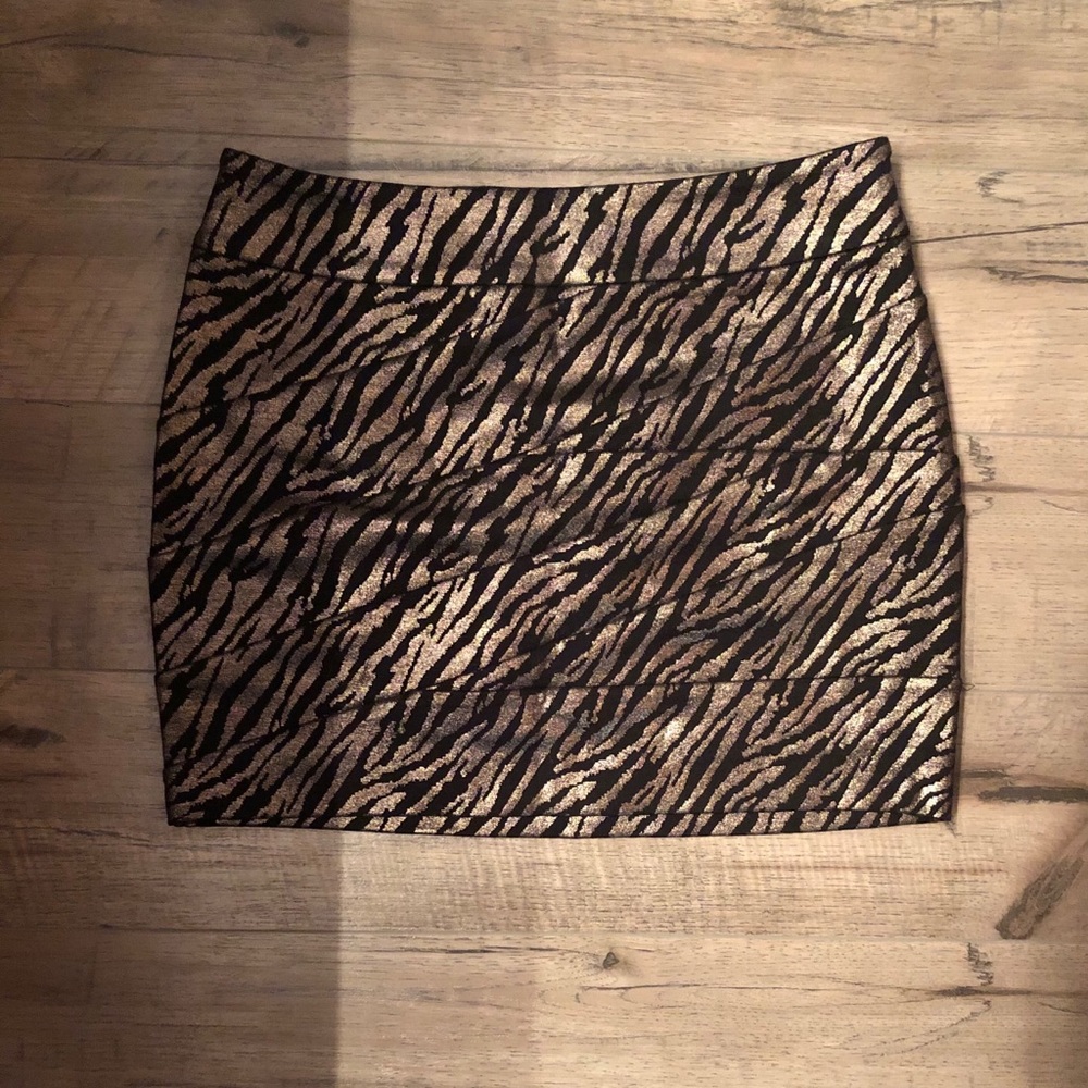 Express Skirt